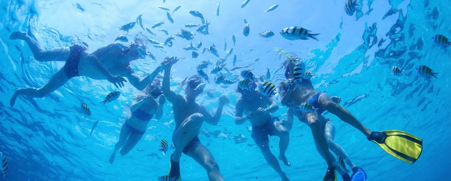 Snorkelling with fishes in the Caribbean