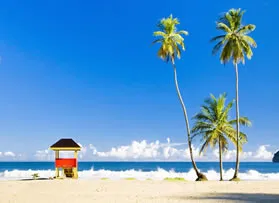 Beach with hut and palm trees