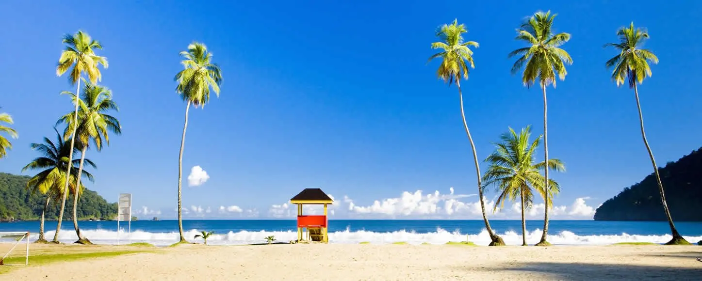 Tropical beach with palm trees and beach hut